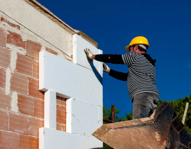 Best Insulation Repair Services  in Wentzville, MO