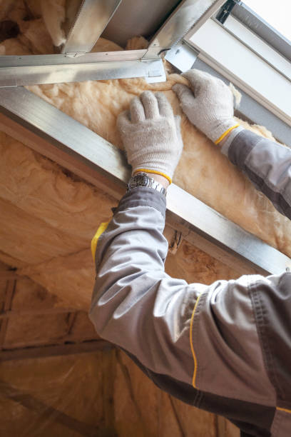 Insulation Repair Services in Wentzville, MO