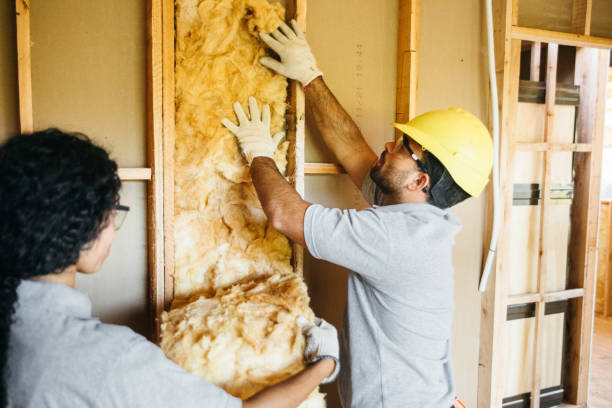 Best Crawl Space Insulation  in Wentzville, MO