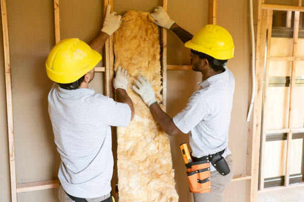 Professional Insulation Contractor in Wentzville, MO