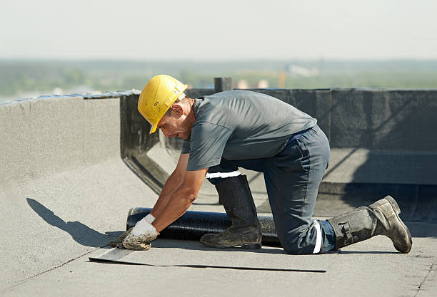 Best Energy-efficient Insulation  in Wentzville, MO