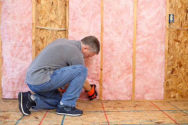 Best Insulation Inspection Services  in Wentzville, MO