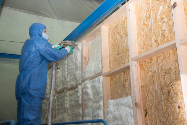 Best Local Insulation Services  in Wentzville, MO