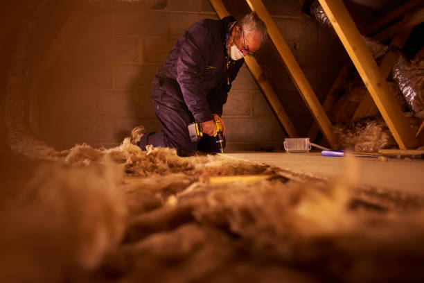 Best Local Insulation Services  in Wentzville, MO