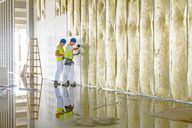 Best Cellulose Insulation  in Wentzville, MO